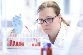 master's in cell and molecular biology in germany – College Learners